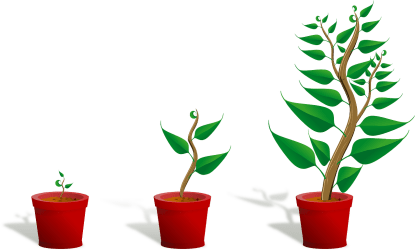plantas.png